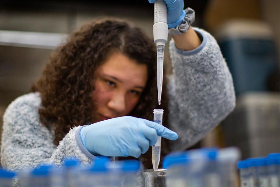 A student works in a lab on the 足彩平台 campus.