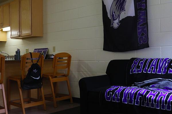 A living room with a couch and a flag in it. The breakfast bar in the kitchen can be seen in this photo.